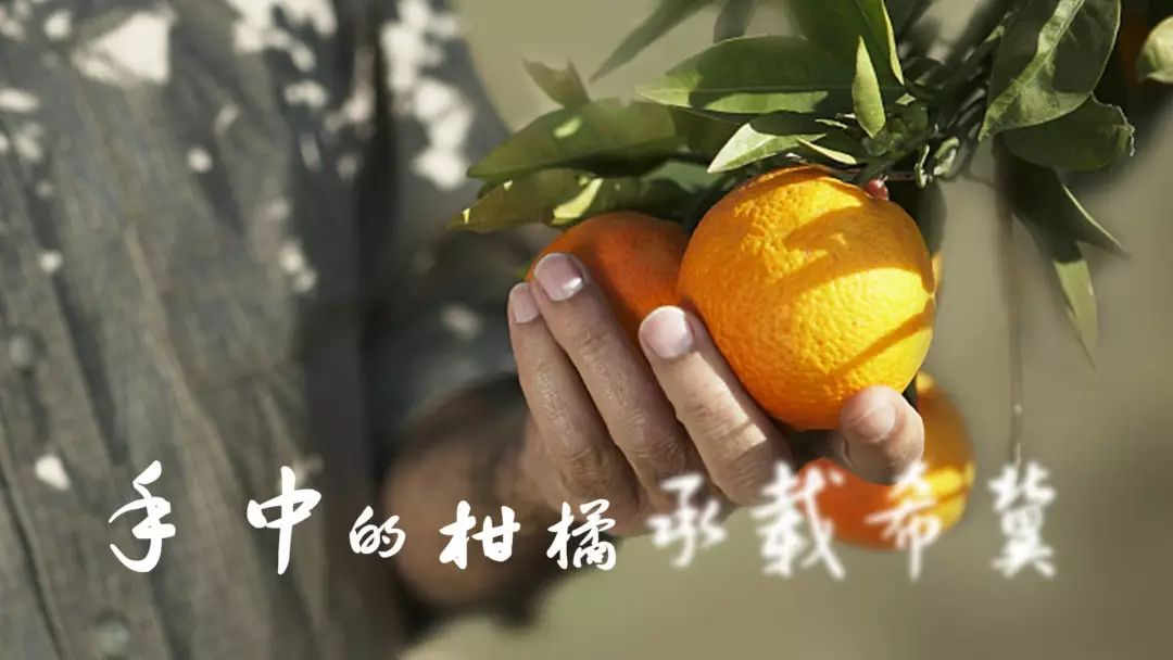 图片25.png