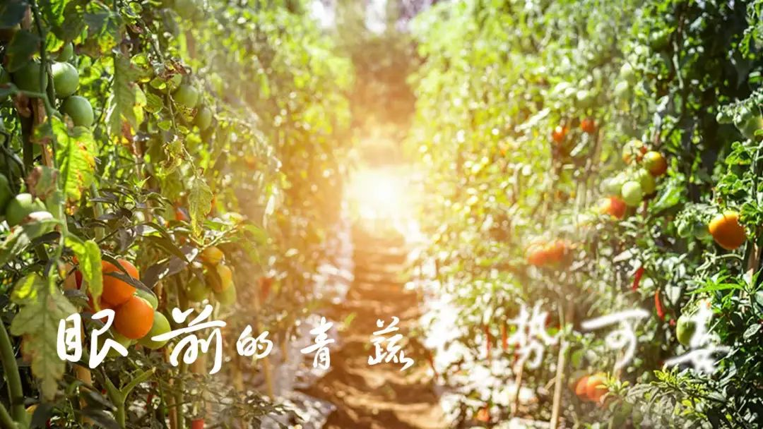 图片26.png