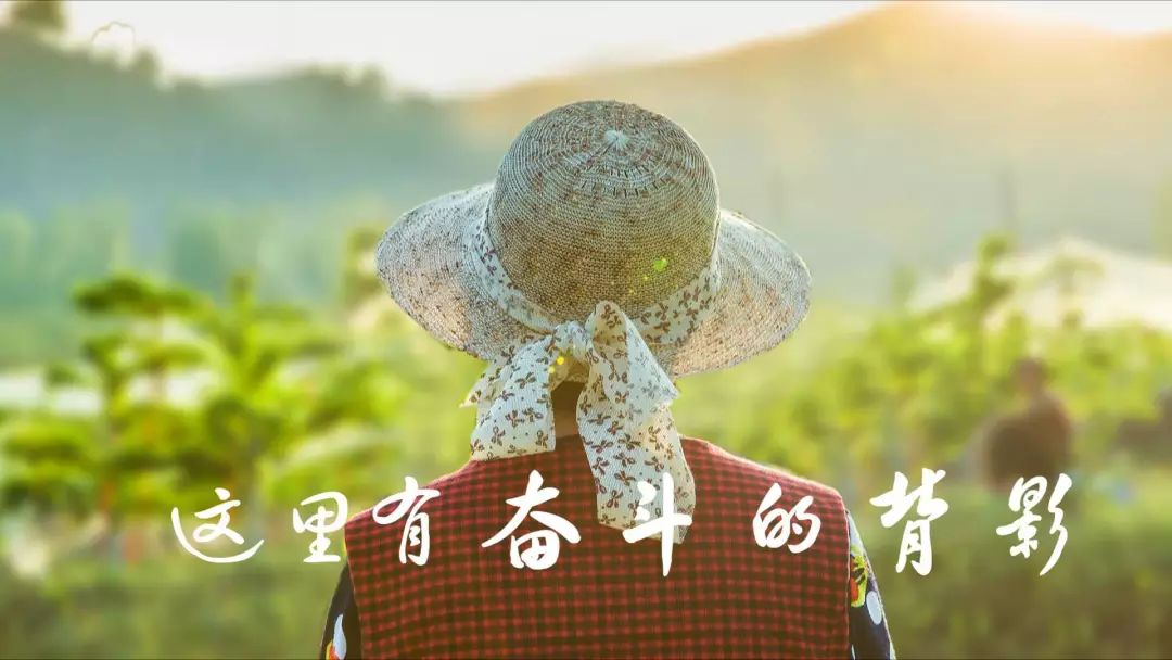 图片27.png