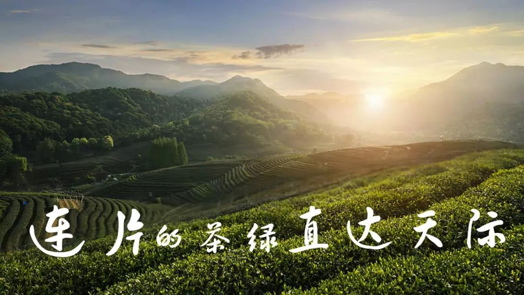 图片28.png