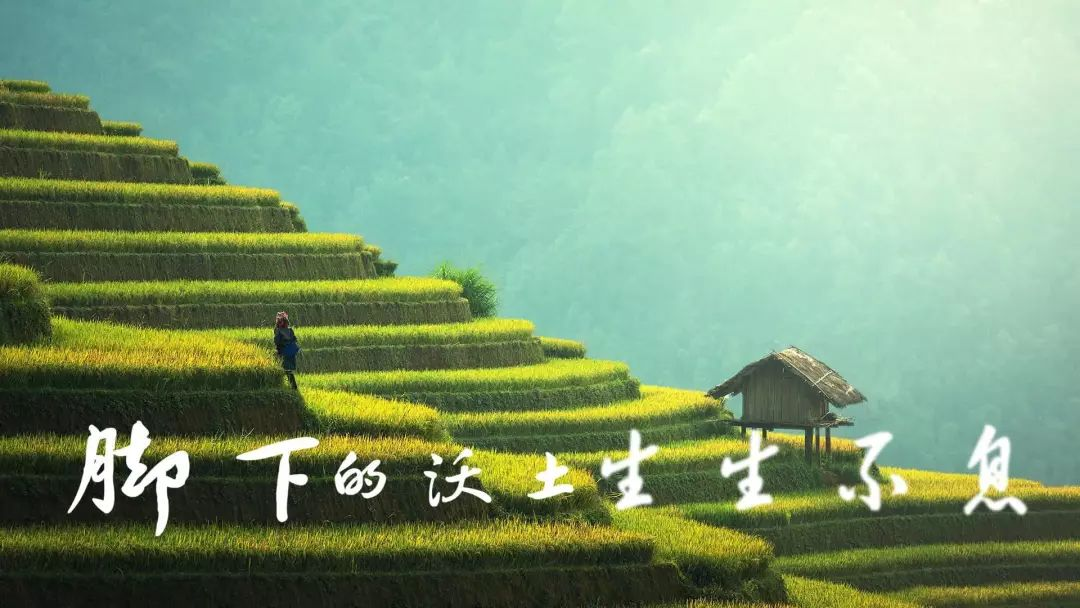 图片29.png