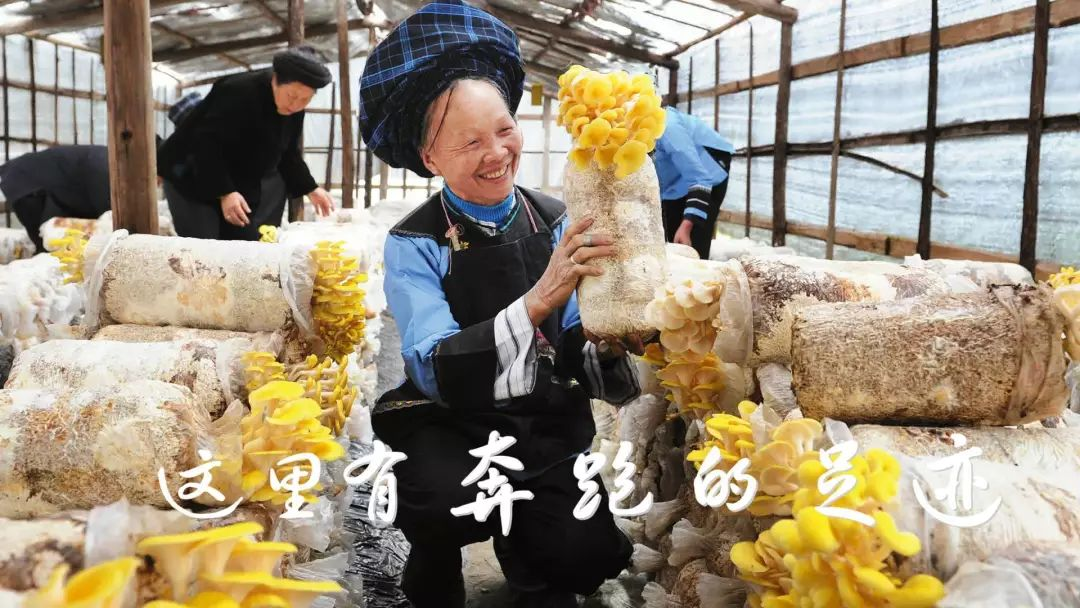 图片30.png