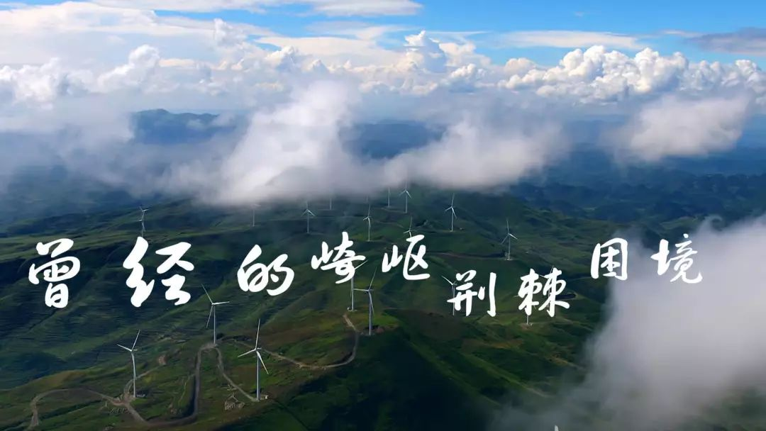 图片31.png