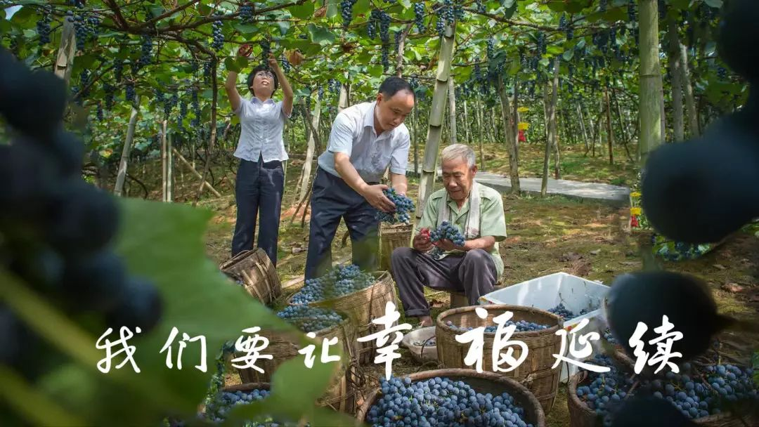 图片33.png