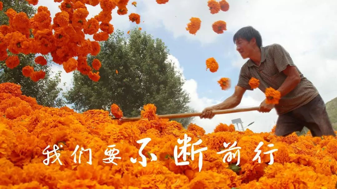 图片35.png