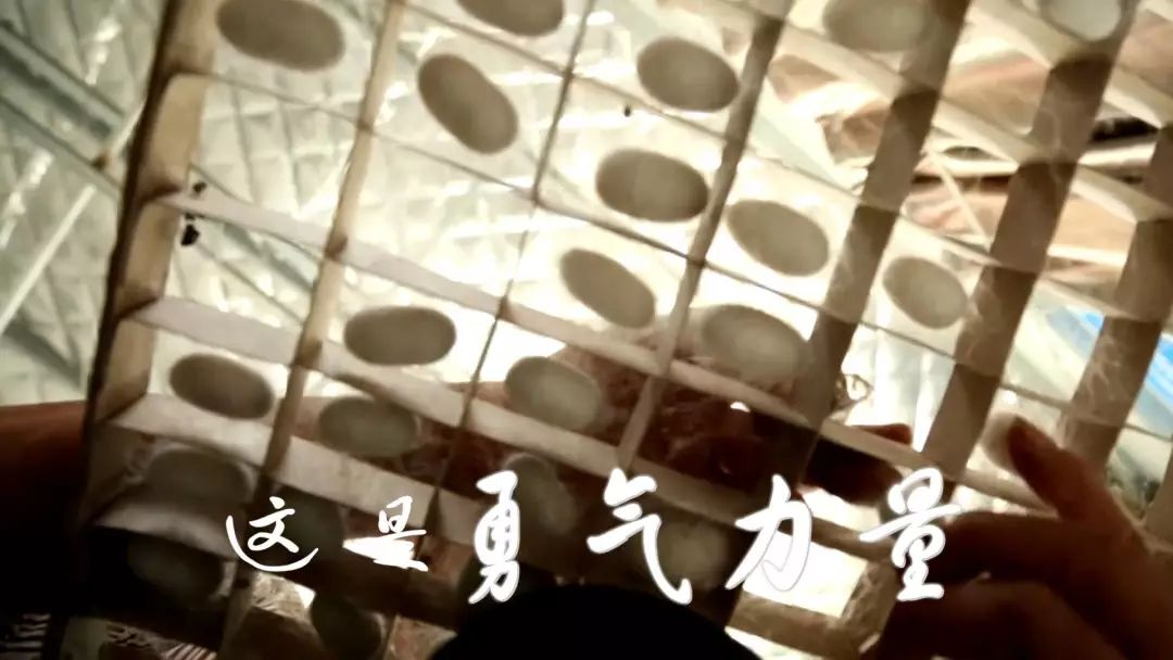 图片37.png